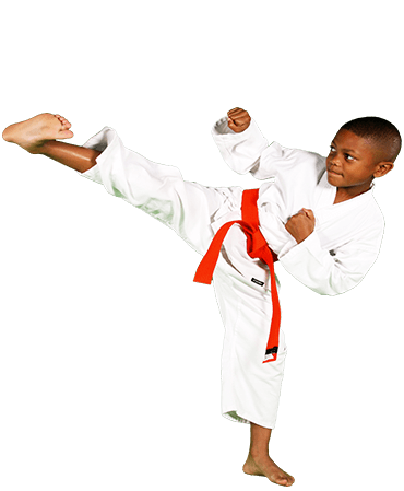 private martial arts lessons
